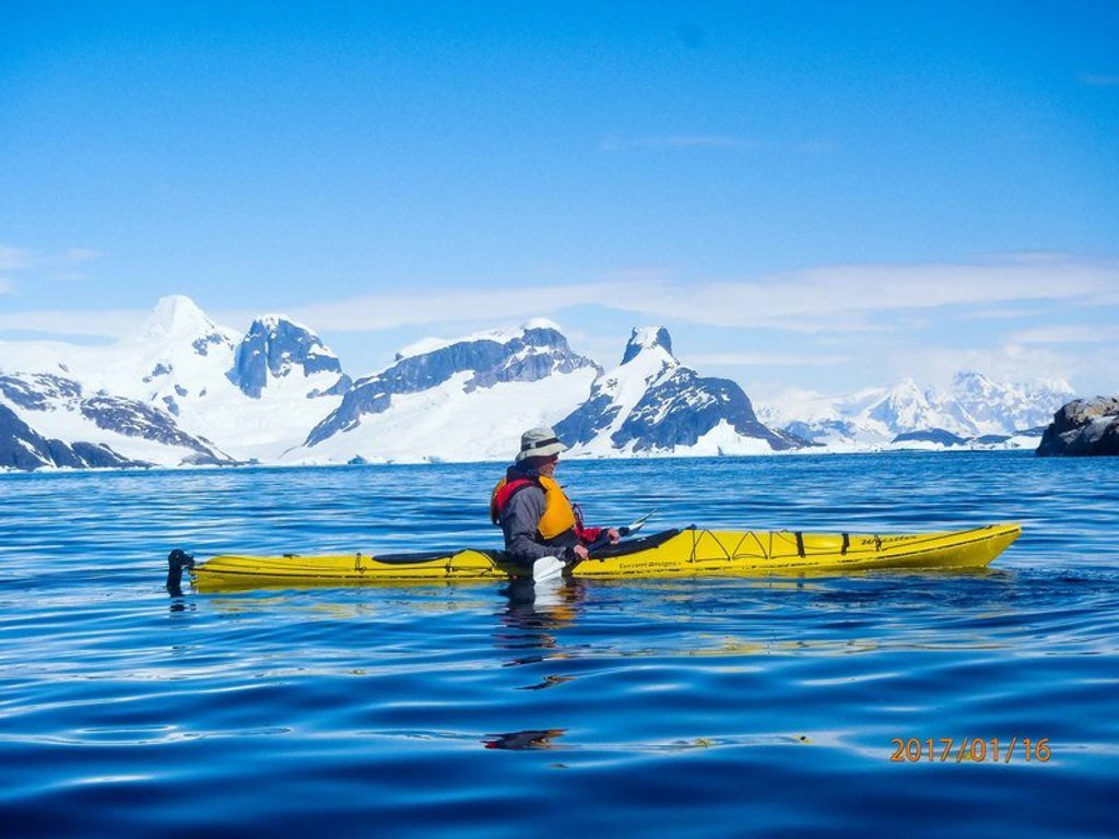 Kolonie koningspinguïns op South Georgia tijdens groepsrondreis Antarctica, Falklands en South Georgia.