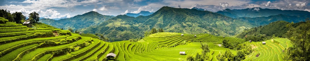 Groene rijstterrassen en berglandschap in Vietnam tijdens een groepsrondreis.