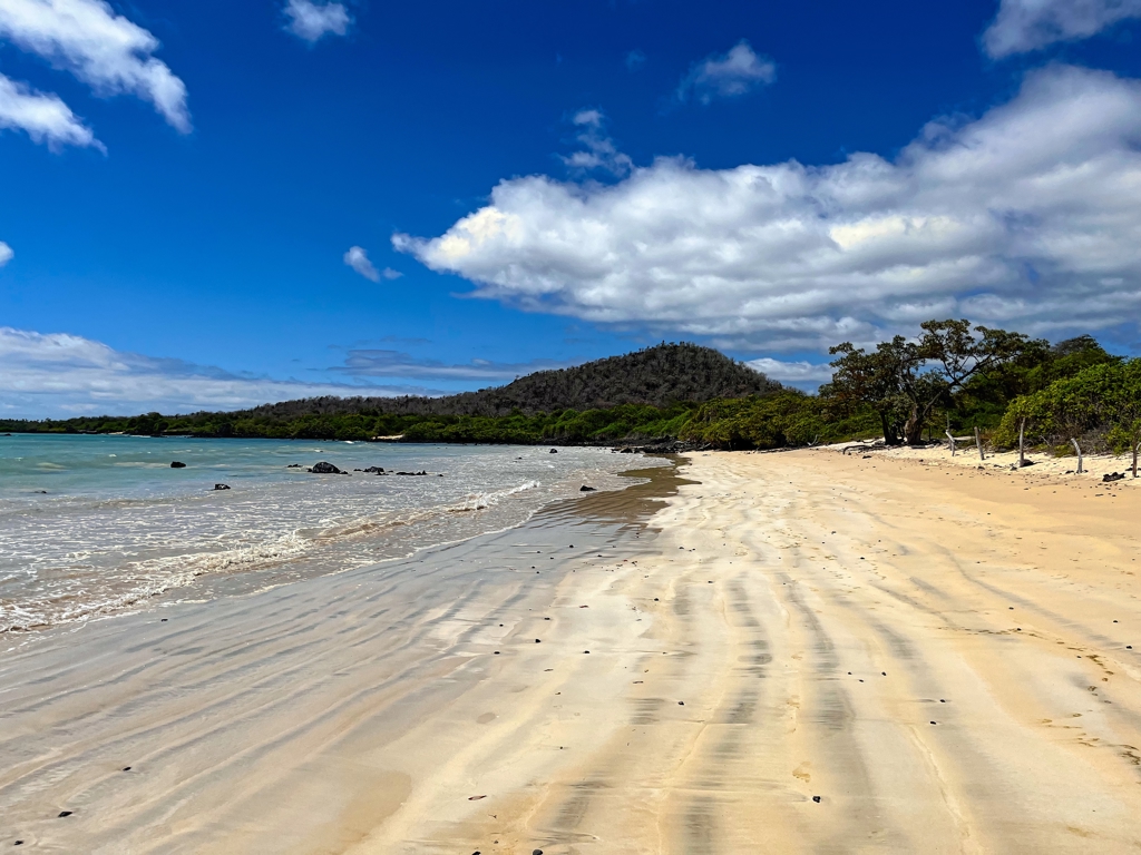 Zandstrand aan de kust van de Galapagos met turquoise zee en wolkenlucht tijdens een familiereis Ecuador en Galapagos.