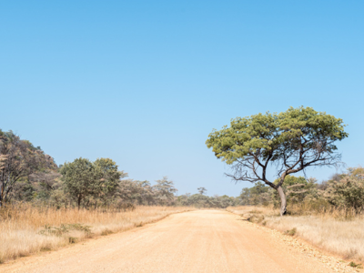 Zandweg door savannelandschap met acaciabomen onder een heldere blauwe lucht, route Windhoek–Victoria Falls.