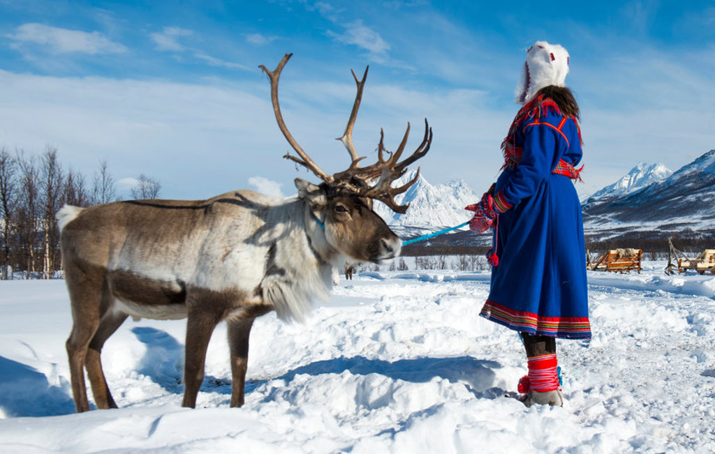 Rendier in de sneeuw naast persoon in traditionele kleding, tijdens groepsrondreis Zweeds en Noors Lapland.