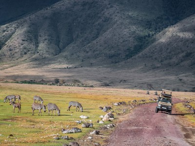 Safari-jeeps bij grazende zebra’s in de Ngorongoro-krater, Tanzania.