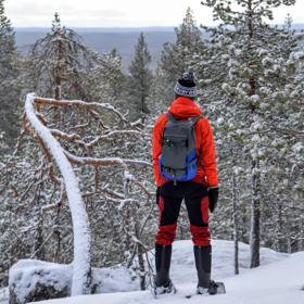 Winterreizen