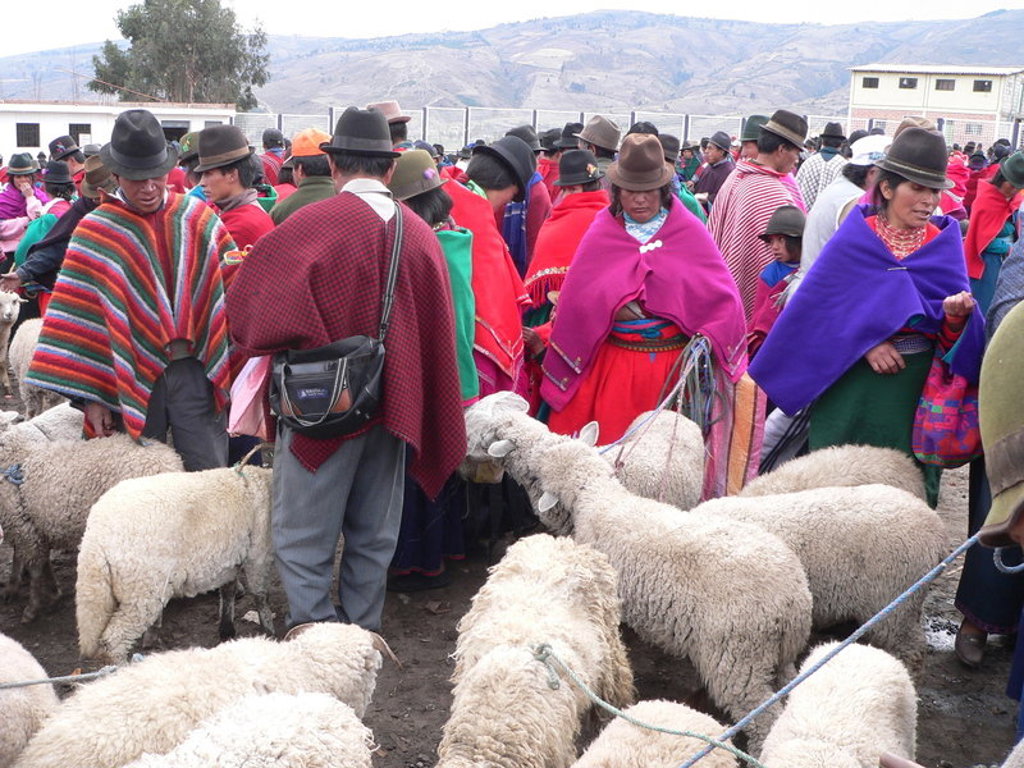 Markt in de Andes van Ecuador met mensen in kleurrijke poncho’s tussen schapen.