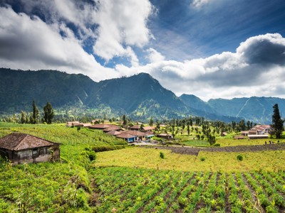 Groene rijstvelden en dorp in de bergen op Java tijdens de Route Java en Bali.