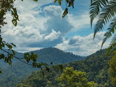 Uitzicht over dichtbegroeide jungleheuvels op Sumatra onder een blauwe lucht met hoge stapelwolken.