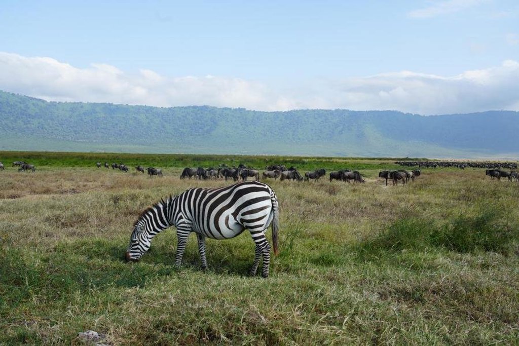 Hotel of lodge tijdens groepsrondreis Kenia en Tanzania Totaal.