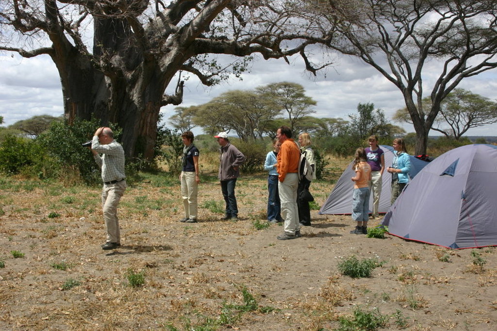 Kamperen met gezin in Tanzania: tenten op de savanne onder grote baobab tijdens familiereis Tanzania en Zanzibar.