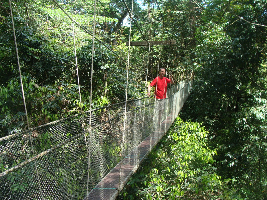 Reiziger op hangbrug boven het regenwoud in Maleisisch Borneo tijdens groepsrondreis.