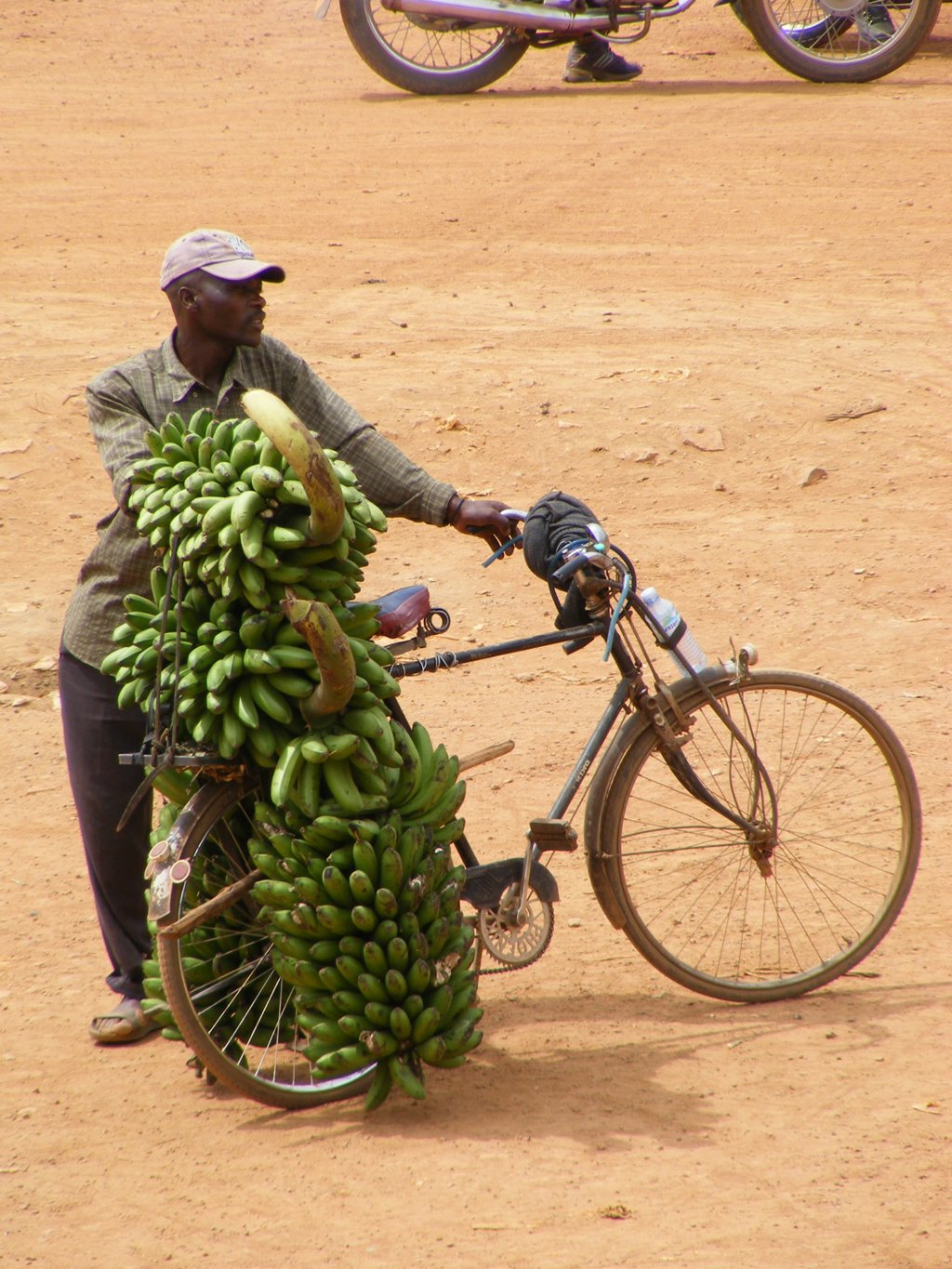 Man met fiets beladen met trossen groene bananen langs de weg in Oeganda.