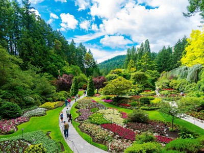 Kleurrijke bloementuinen met wandelpaden in Butchart Gardens bij Victoria, Route Canada.