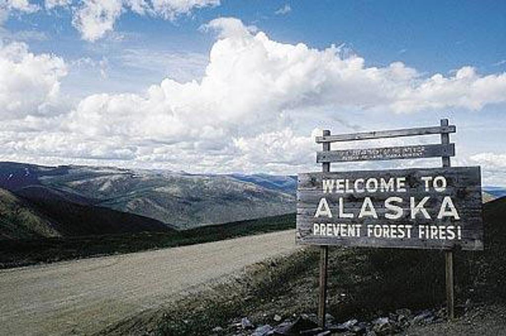 Gletsjerlandschap in Alaska met besneeuwde bergen en naaldbomen tijdens groepsrondreis kampeer/hotel.
