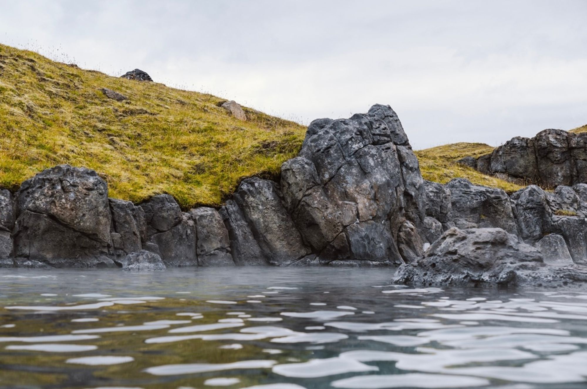 Rotsachtige kust met grashelling en kalm water in IJsland.