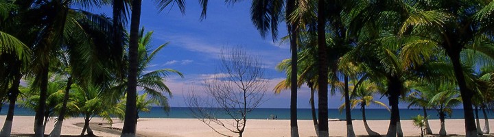 Palmen aan een wit zandstrand in Honduras, met uitzicht op zee en bergen.