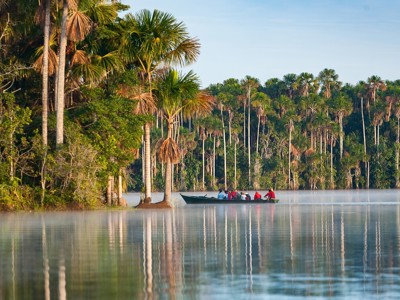 Boottocht over de Amazone in Peru langs palmbomen en regenwoud, met reizigers in een kano.