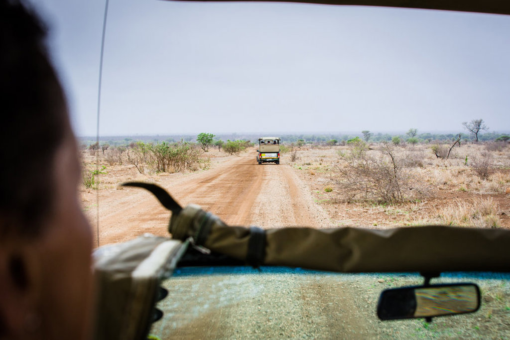 Safari-jeep op een zandweg door de savanne tijdens een groepsrondreis in Zuid-Afrika, eSwatini en Lesotho.