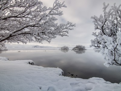 Sneeuwbedekte bomen langs een spiegelglad meer in Noord-IJsland, Route Noord-IJsland dag 5.