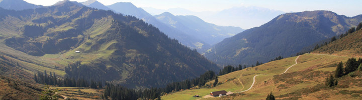 Berglandschap in Oostenrijk met groene alpenweiden, dennenbossen en een kronkelend pad.