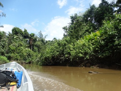 Boottocht over een rivier door het regenwoud in Ecuador tijdens de 22-daagse Route Ecuador.