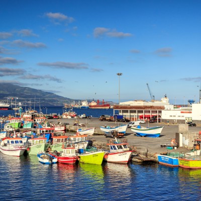 Kleurrijke vissersboten in de haven van Horta op Faial, Azoren, tijdens groepsrondreis Azoren Compleet.
