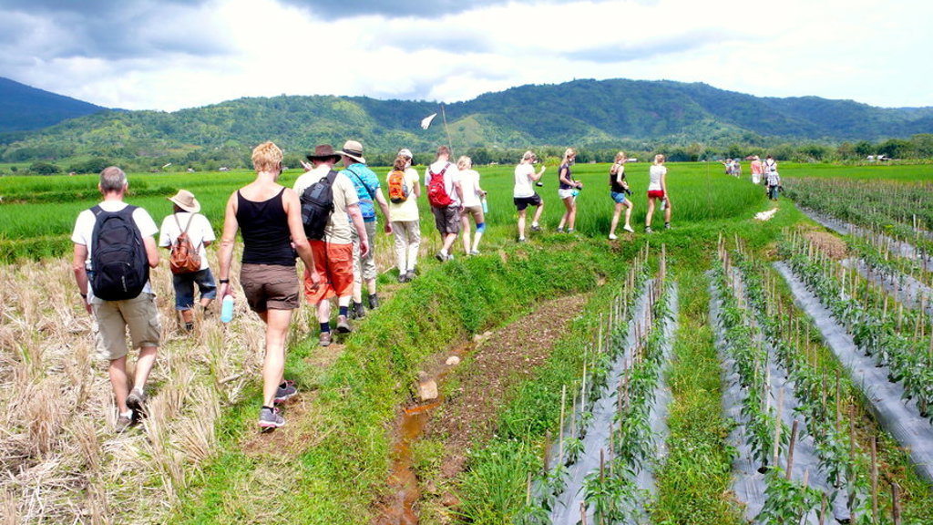 Wandeling met gezin door rijstvelden op Sumatra tijdens familiereis Sumatra, Java en Bali.
