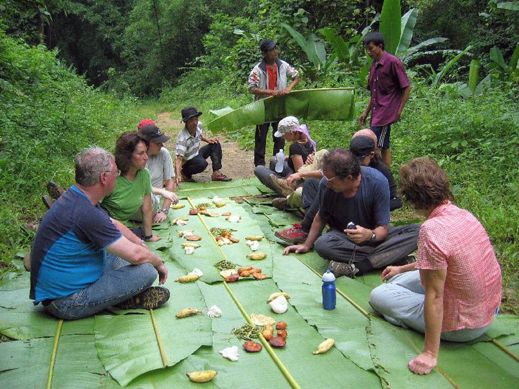 Picknick op bananenbladeren tijdens groepsrondreis Laos en Cambodja, in de jungle langs de Mekong.