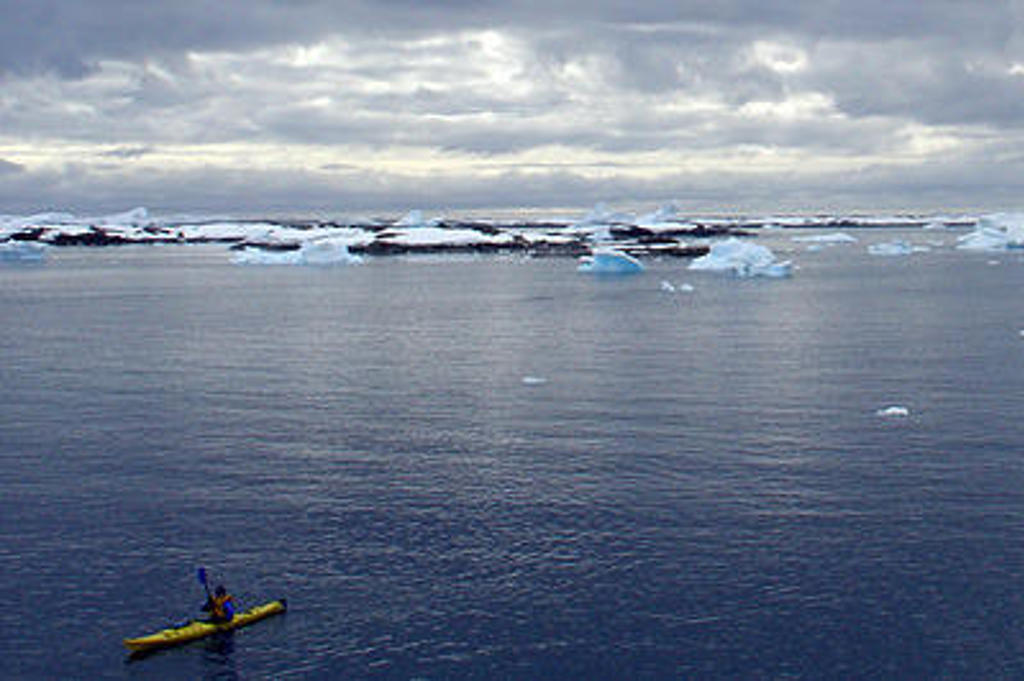 Kajakker op zee tussen ijsbergen tijdens de groepsrondreis Antarctica Crossing the Circle.