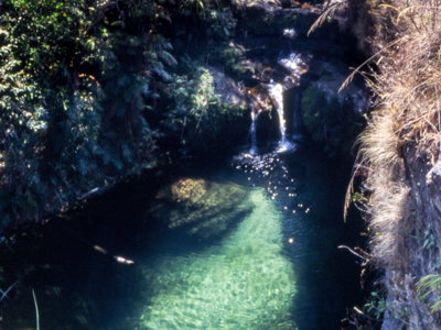 Groene natuurlijke waterpoel met kleine waterval in het regenwoud van Madagascar.
