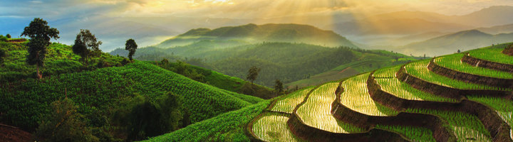 Groene rijstterrassen in de heuvels van Thailand bij zonsopkomst.
