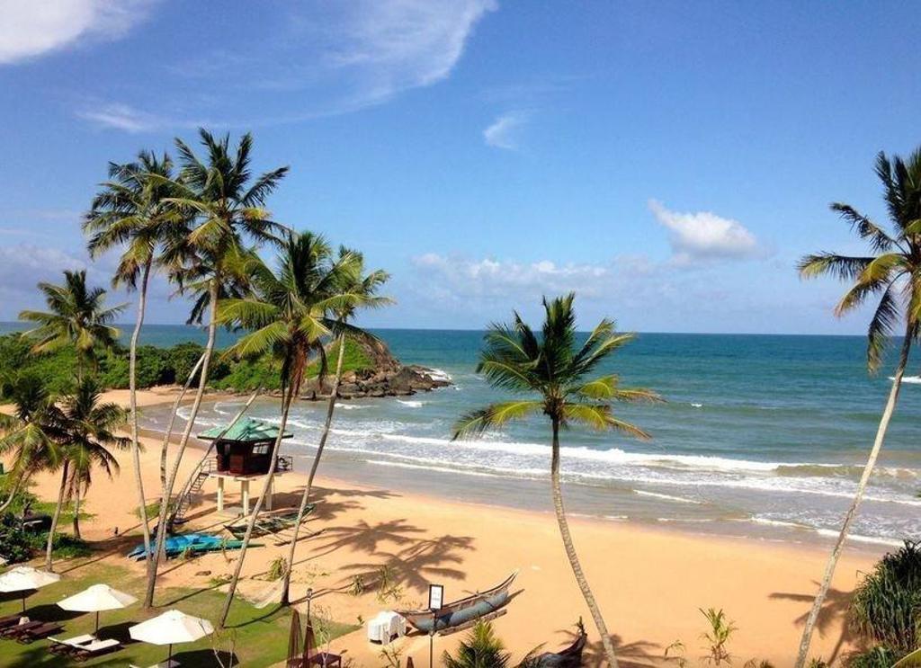 Palmbomen tegen een heldere lucht tijdens groepsrondreis Sri Lanka en Malediven.