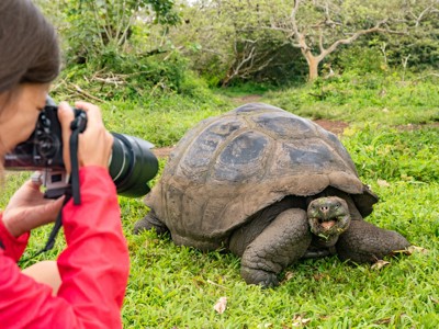 Reiziger fotografeert reuzenschildpad op de Galapagos-eilanden tijdens de Route Ecuador en Galapagos.