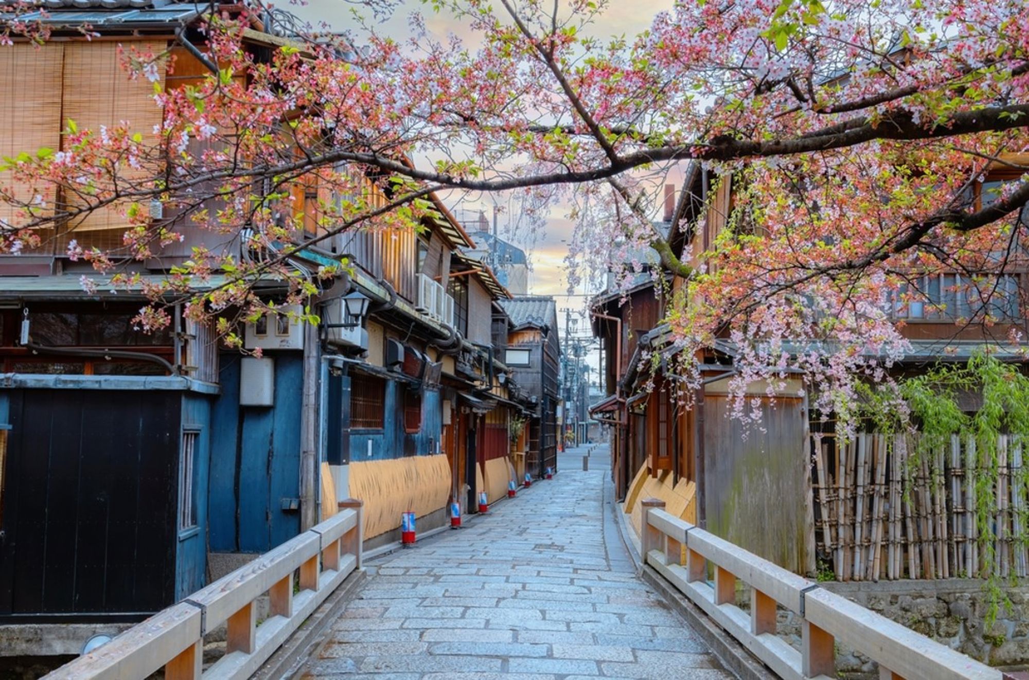 Traditionele straat in Kyoto met houten huizen en bloeiende kersenbloesem in de lente.