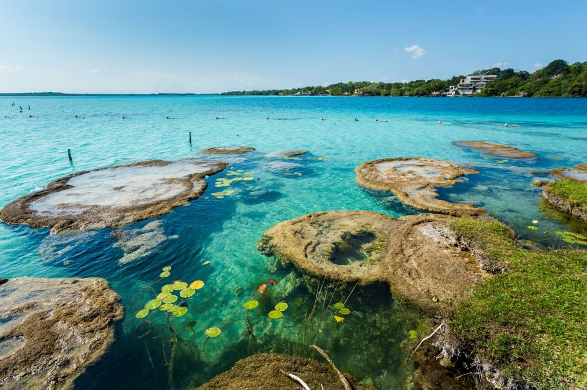 Turquoise water en stromatolieten in Laguna Bacalar, Mexico.