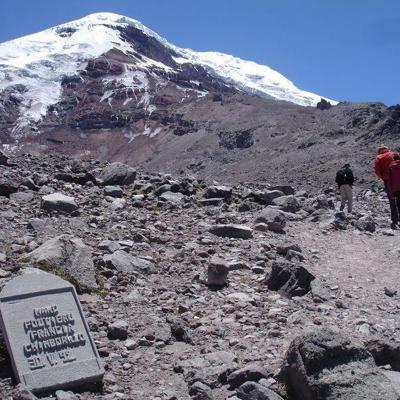 Zeeleguaan op rotsen aan de kust van de Galapagos-eilanden, Ecuador.