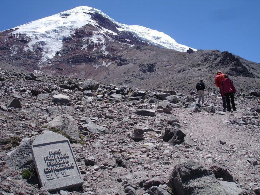 Zeeleguaan op rotsen aan de kust van de Galapagos-eilanden, Ecuador.