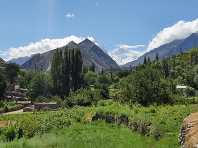 Groene vallei met populieren en akkers in Hunza, met besneeuwde bergtoppen in Baltistan op de achtergrond.