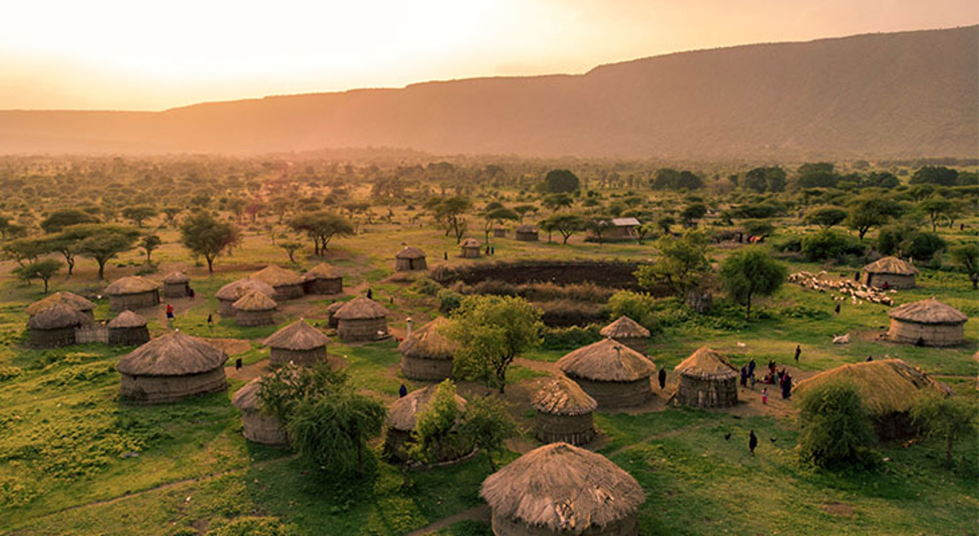 Traditioneel dorp met ronde lemen hutten en rieten daken in het landschap van Tanzania bij zonsondergang.