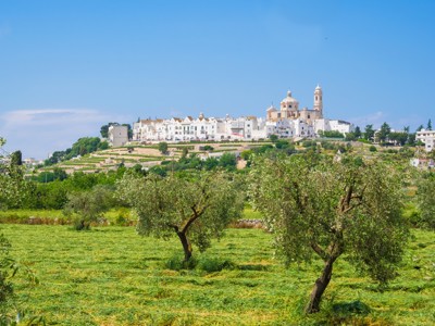 Wit heuveldorp in Puglia met kerk en olijfgaarden, op de route Alberobello–Matera.