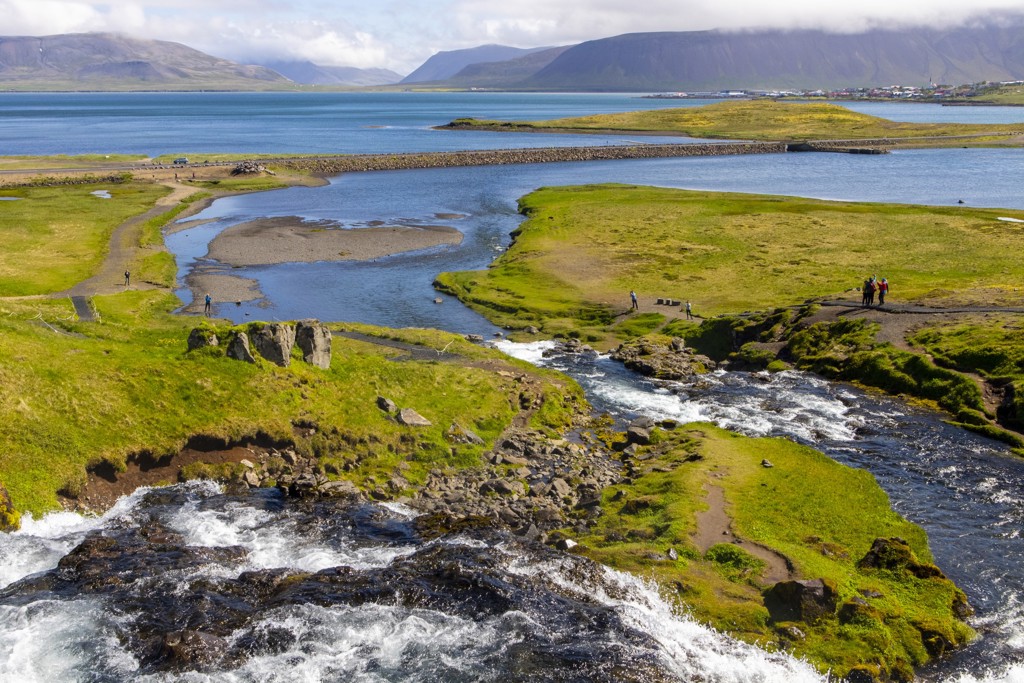 Uitzicht op riviermonding met waterval, groene heuvels en fjordlandschap tijdens groepsrondreis IJsland.