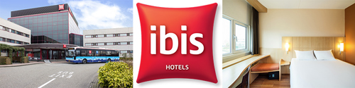 273518c75b5d5a039cc0f7a3a2d749f8-ibis.jpg