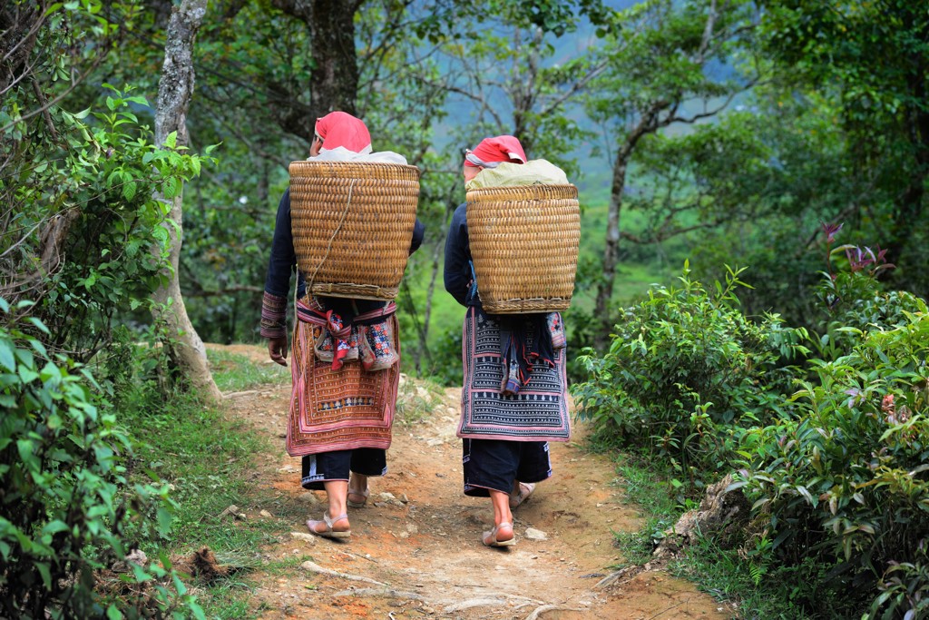 Twee vrouwen met rieten manden lopen over een pad door groene heuvels en rijstvelden in Vietnam.