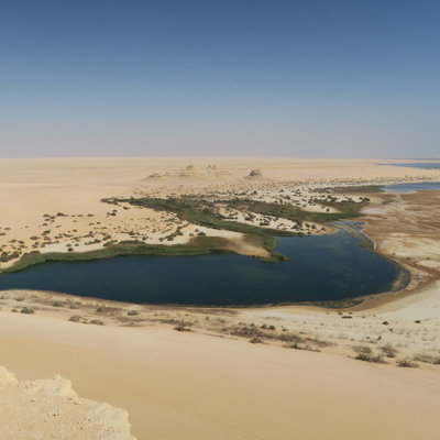 Woestijnmeer met groene oever in de Egyptische Sahara tijdens een groepsrondreis Egypte.
