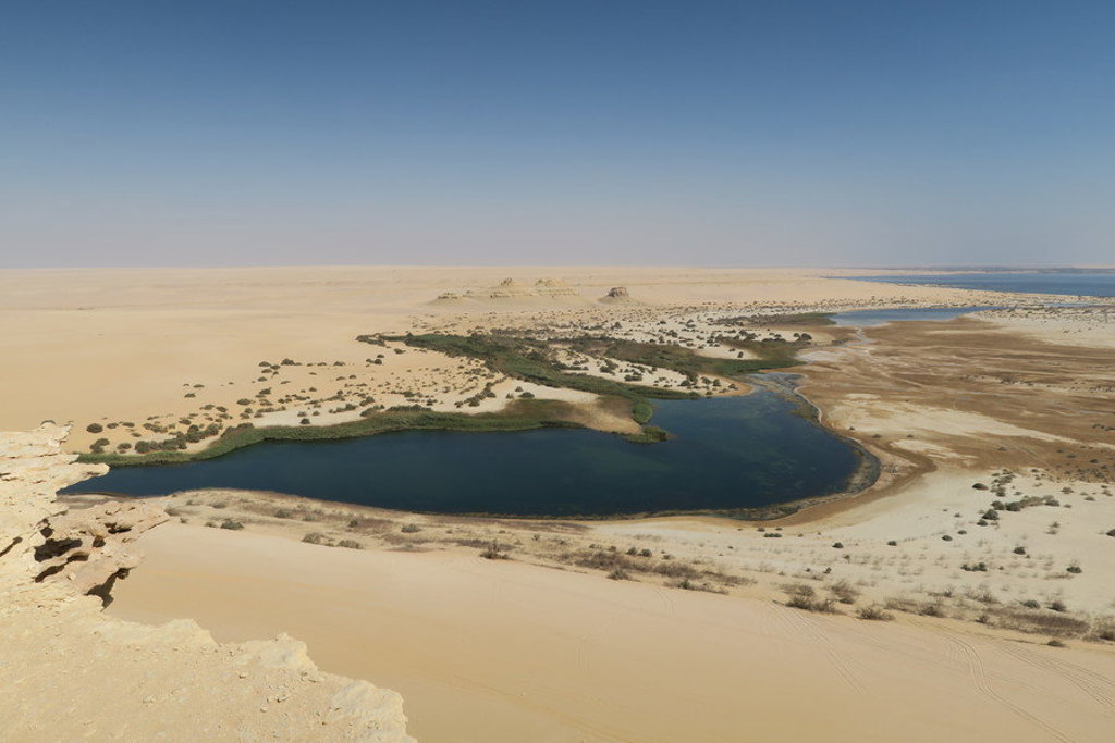 Woestijnmeer met groene oever in de Egyptische Sahara tijdens een groepsrondreis Egypte.