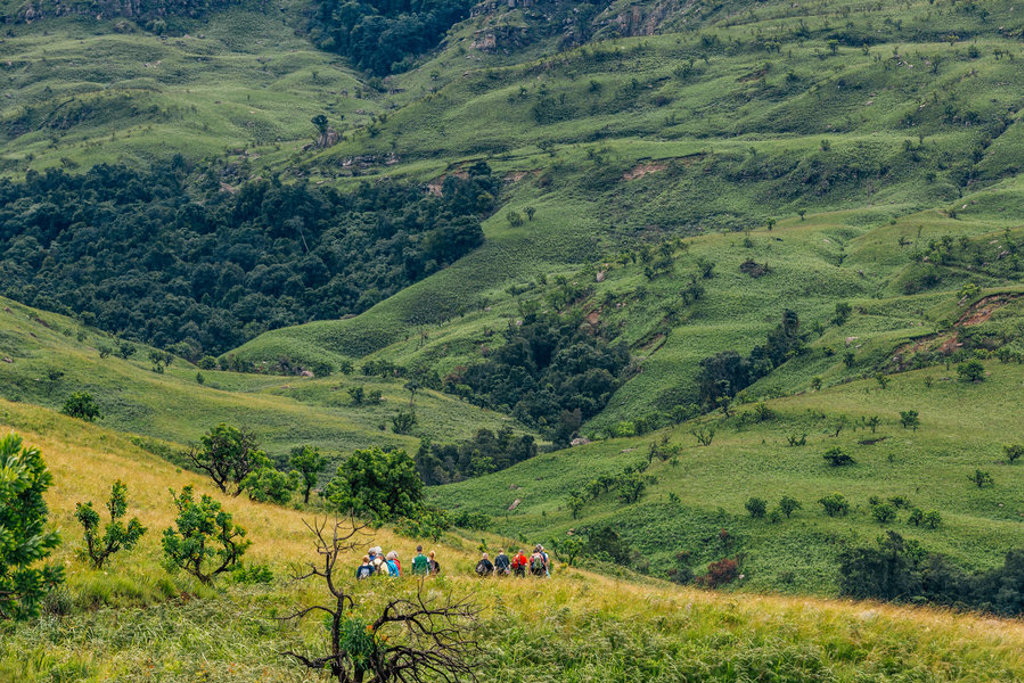 Wandelaars in de groene heuvels van Lesotho tijdens een groepsrondreis door Zuid-Afrika, eSwatini en Lesotho.