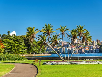Palmbomen en park aan het water met uitzicht op de skyline van Sydney, Route Australië.