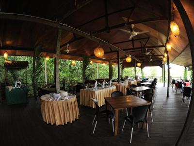 Permai rainforest