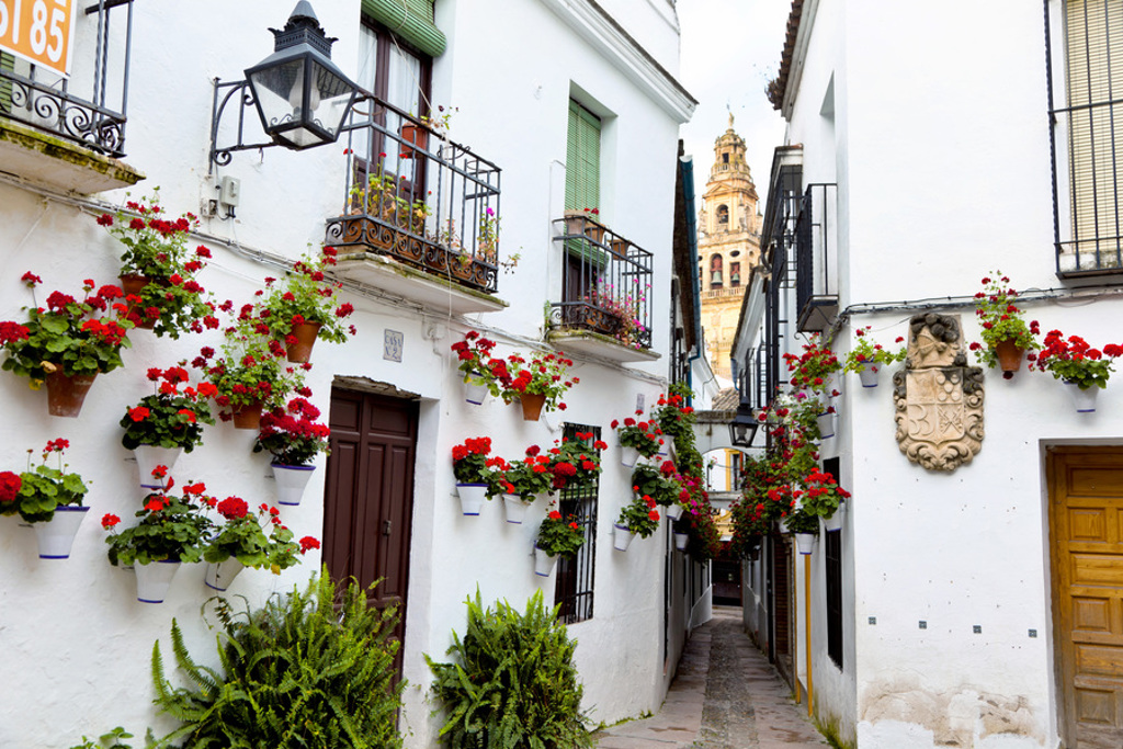 Smalle straat in Andalusië met witte huizen, kleurrijke bloempotten en uitzicht op een kerktoren.