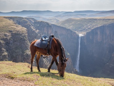 Paard met zadel graast bij een diepe kloof met waterval langs route Kaapstad - Johannesburg.