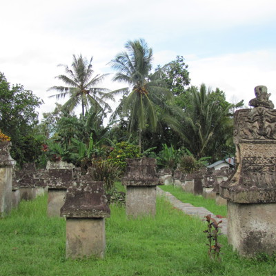 Oude Minahasa-grafstenen tussen palmbomen op Sulawesi, tijdens excursie naar Minahasa en Tangkoko NP.