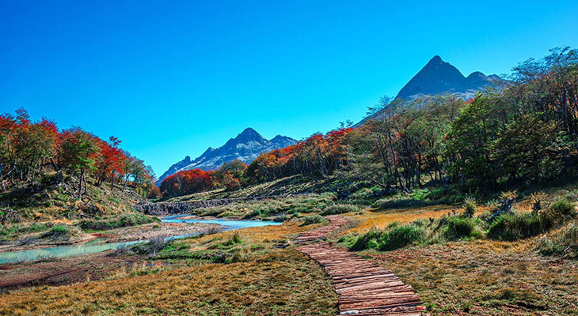 Houten wandelpad langs een rivier met herfstbos en bergtoppen in Patagonië.